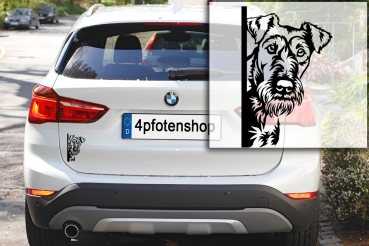 Preview: Autoaufkleber "Irish Terrier" Kopf