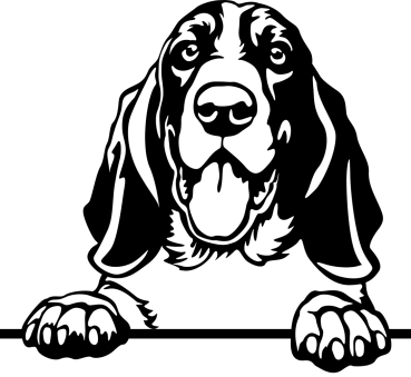 Aufkleber Basset Kopf