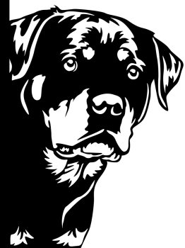 Aufkleber Husky Kopf