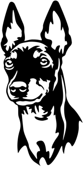 Aufkleber English Toy Terrier Kopf