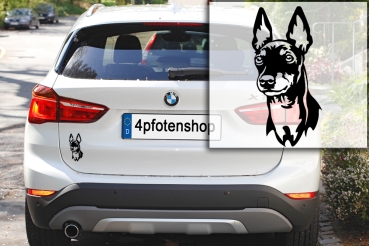 Preview: Autoaufkleber "English Toy Terrier" Kopf