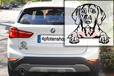 Preview: Autoaufkleber "Magyar Vizsla" Kopf