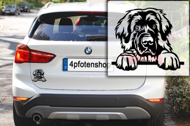 Preview: Autoaufkleber "Leonberger" Kopf