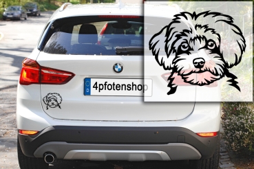 Preview: Autoaufkleber "Maltipoo" Kopf