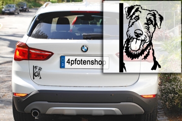 Preview: Autoaufkleber "Airedale Terrier" Kopf
