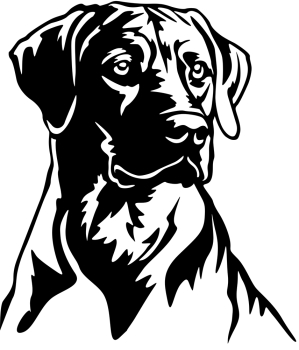 Aufkleber Ridgeback Kopf