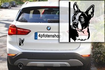 Autoaufkleber "Boston Terrier" Kopf