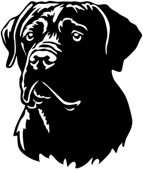Aufkleber Cane Corso Kopf