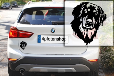 Autoaufkleber "Hovawart" Kopf
