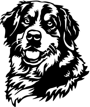 Aufkleber Berner Sennenhund