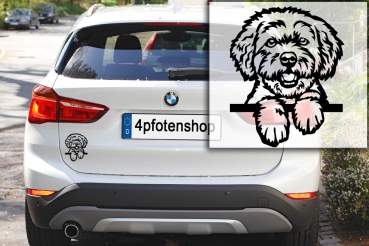 Preview: Autoaufkleber "Bolonka Zwetna" Kopf