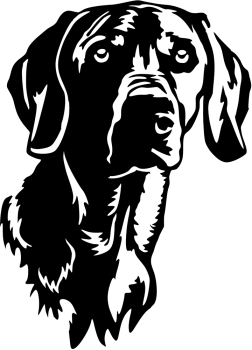 Aufkleber Weimaraner