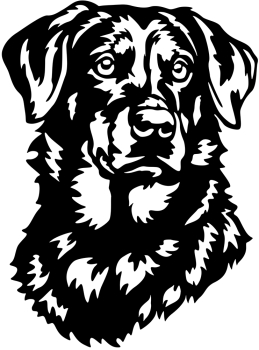 Aufkleber Beauceron Kopf