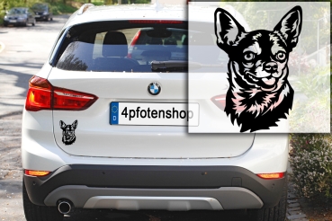 Preview: Autoaufkleber "Chihuahua" Kopf