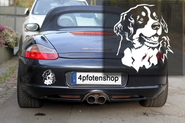 Autoaufkleber "Berner Sennenhund" Kopf