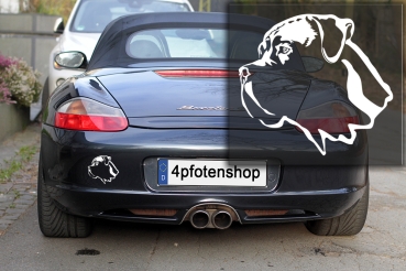 Autoaufkleber "Cane Corso" Kopf