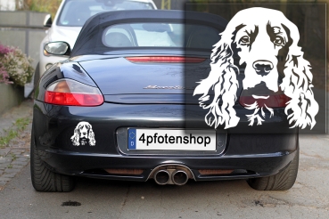 Autoaufkleber "Englischer Cocker Spaniel" Kopf