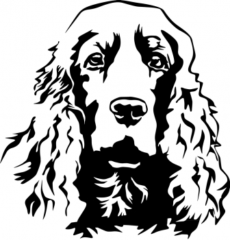 Autoaufkleber "Englischer Cocker Spaniel" Kopf