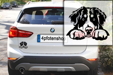 Autoaufkleber "Berner Sennenhund" Kopf