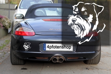 Autoaufkleber "Schnauzer" Kopf