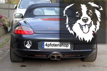 Autoaufkleber "Border Collie" Kopf