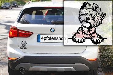 Autoaufkleber "Yorkshire Terrier" Kopf