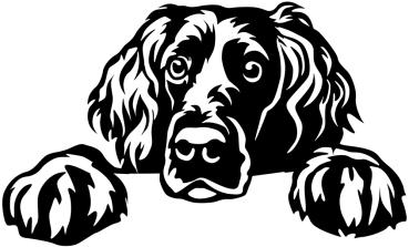 Autoaufkleber "Boykin Spaniel" Kopf