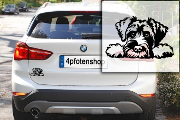 Autoaufkleber "Zwergschnauzer" Kopf