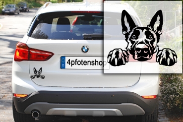 Autoaufkleber "Malinois" Kopf