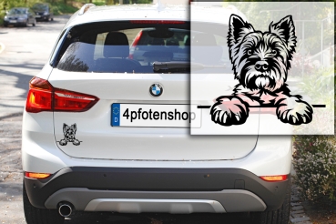 Autoaufkleber "Cairn Terrier" Kopf