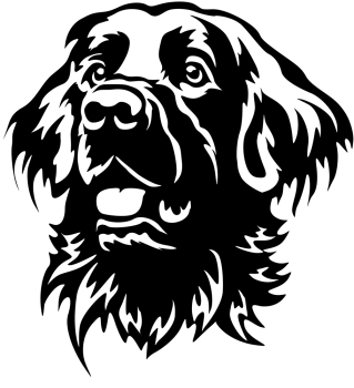 Aufkleber Flat-coated Retriever Kopf