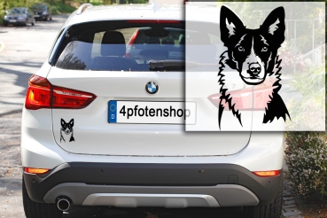 Autoaufkleber "Border Collie (Kurzhaar)" Kopf