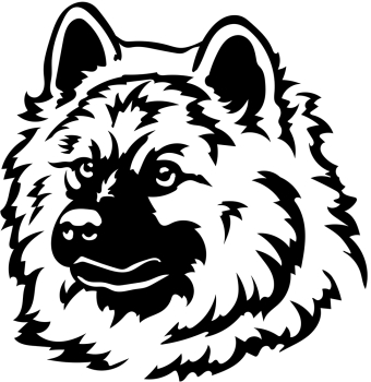 Autoaufkleber "Eurasier" Kopf