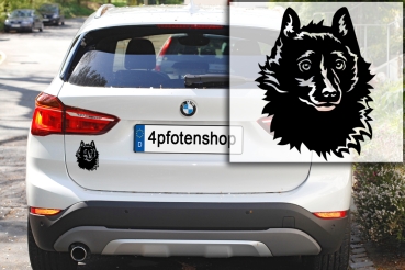 Autoaufkleber "Schipperke" Kopf