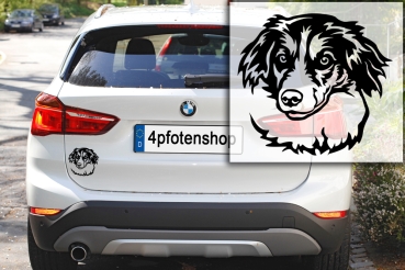 Autoaufkleber "Kromfohrländer (Glatthaar)" Kopf