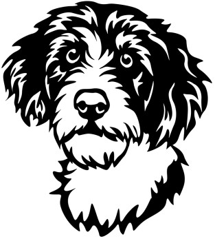 Aufkleber Aussiepoo Kopf