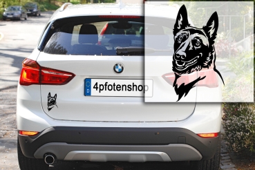 Autoaufkleber "Malinois" Kopf