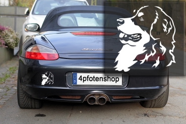 Autoaufkleber "Berner Sennenhund" Kopf