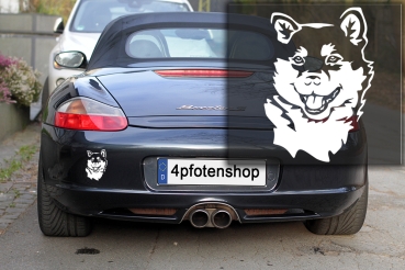 Autoaufkleber "Shiba" Kopf