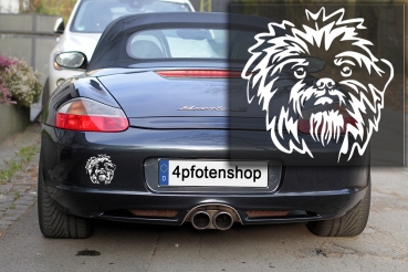 Autoaufkleber "Affenpinscher" Kopf