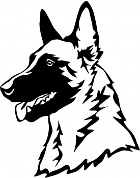 Autoaufkleber "Malinois" Kopf