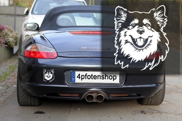 Autoaufkleber "Finnischer Lapphund" Kopf