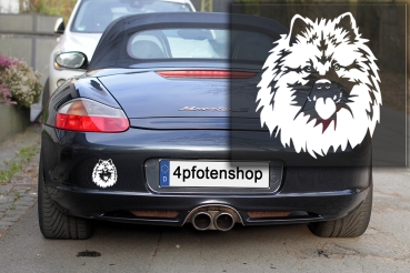 Autoaufkleber "Wolfsspitz" Kopf