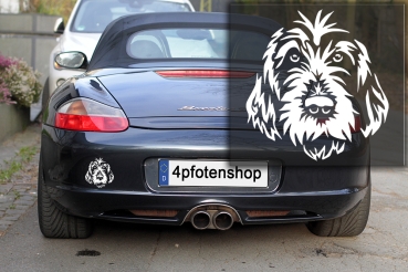 Autoaufkleber "Spinone Italiano" Kopf