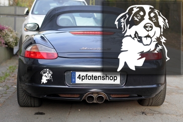 Autoaufkleber "Berner Sennenhund" Kopf