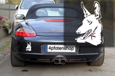 Autoaufkleber "Podenco" Kopf