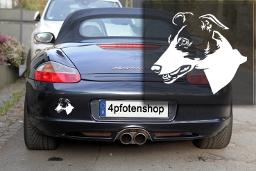 Autoaufkleber "Greyhound" Kopf