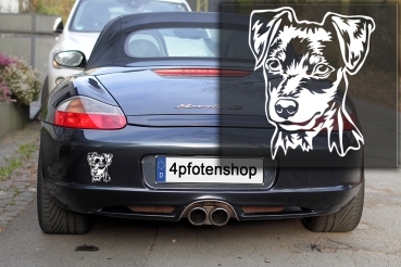 Autoaufkleber "Zwergpinscher" Kopf