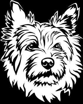 Autoaufkleber "Cairn Terrier" Kopf