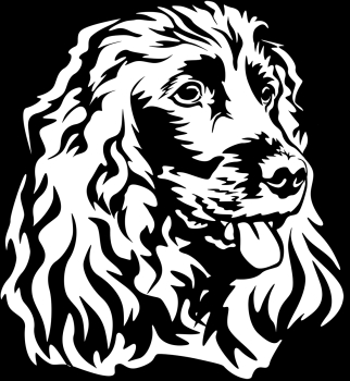 Autoaufkleber "Englischer Cocker Spaniel" Kopf